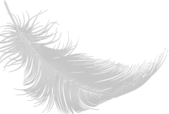 Poultry Ninja Online Courses